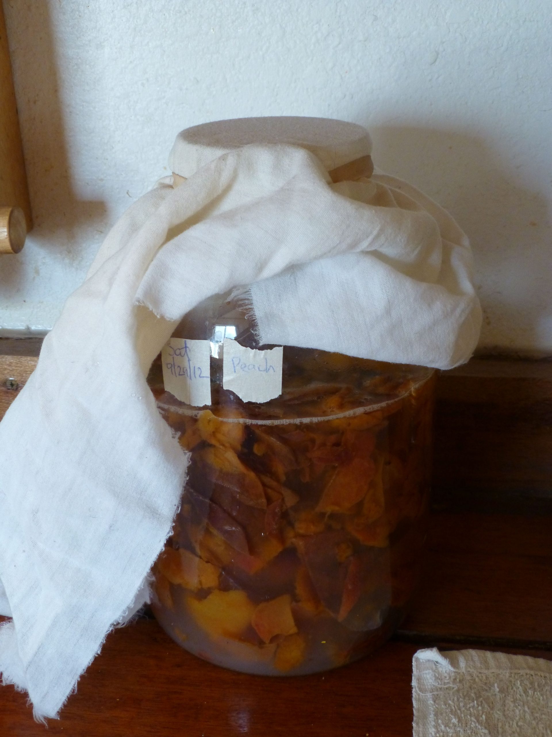 Making FruitScrap Vinegar Countryside